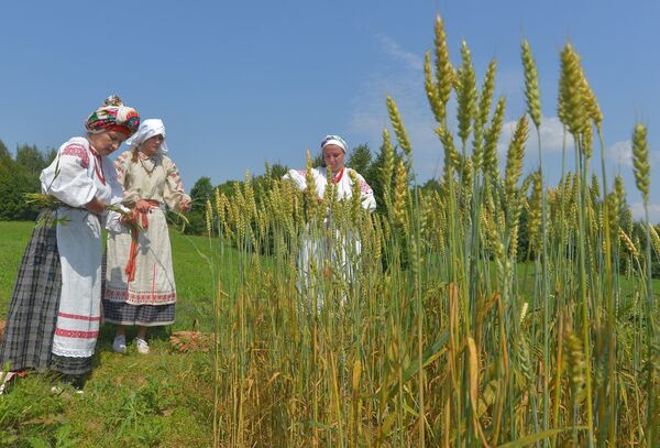 Праздник урожая Жыцень показывает, какое важное место в традиционной культуре занимало земледелие. - Sputnik Беларусь