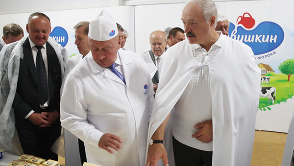 Александр Лукашенко во время поездки в Брест 11 августа 2017 года - Sputnik Беларусь