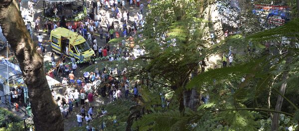 Место падения дерева на Мадейре - Sputnik Беларусь