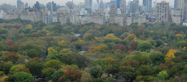 Вид на Центральный парк в Нью-Йорке - Sputnik Беларусь