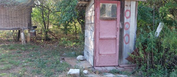 Туалет, архивное фото Туалет, архивное фото - Sputnik Беларусь