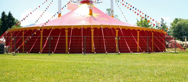 Шатер шапито, архивное фото - Sputnik Беларусь