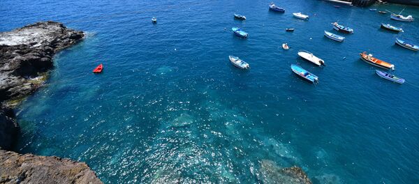 Португалия, на острове Мадейра - Sputnik Беларусь