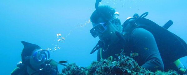 Виктор Бабарико с женой Мариной давно занимались дайвингом - Sputnik Беларусь