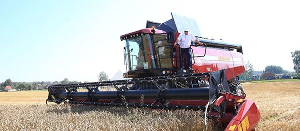 Прэзідэнт Аляксандр Лукашэнка правёў тэст-драйв новага беларускага камбайна Прэзідэнт Аляксандр Лукашэнка правёў тэст-драйв новага беларускага камбайна - Sputnik Беларусь
