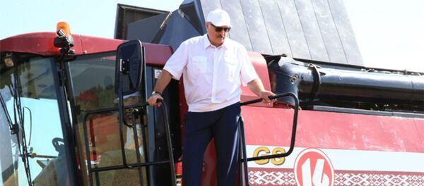 Александр Лукашенко во время рабочей поездки в Могилевскую и Витебскую области 18 августа 2017 года - Sputnik Беларусь