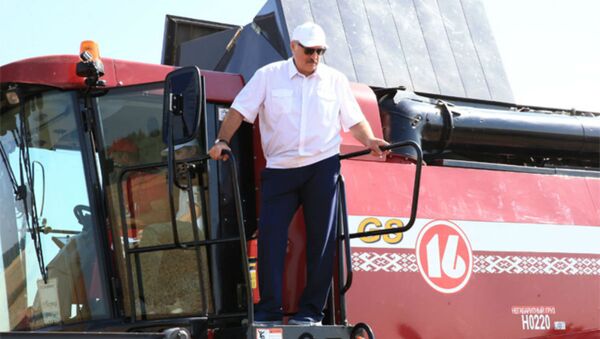 Александр Лукашенко во время рабочей поездки в Могилевскую и Витебскую области 18 августа 2017 года - Sputnik Беларусь