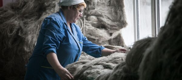 Белорусский льнокомбинат - Sputnik Беларусь