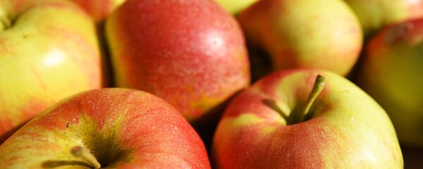 Яблыкі - Sputnik Беларусь