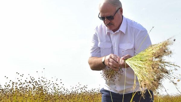 Александр Лукашенко во время посещения предприятия Устье - Sputnik Беларусь