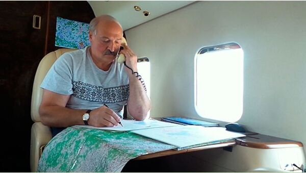 Президент Беларуси Александр Лукашенко, несмотря на выходной день, вновь контролировал ход уборочной кампании с воздуха - Sputnik Беларусь