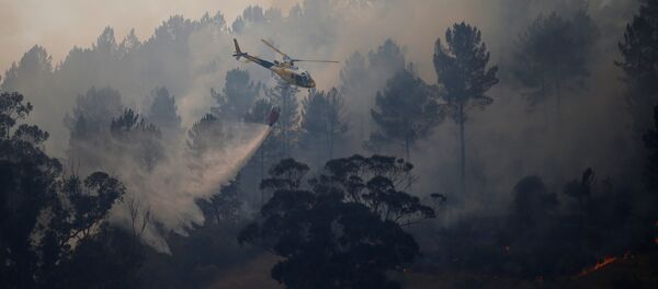 Вертолет в небе над горящей Португалией - Sputnik Беларусь