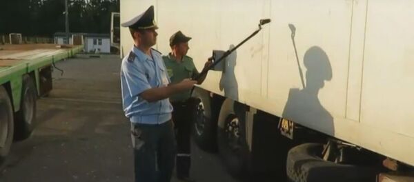 Брестские таможенники пресекли ввоз в Беларусь партии радиоактивной черники - Sputnik Беларусь