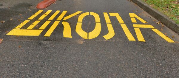 Разметка и сепараторы призывают быть внимательными - Sputnik Беларусь