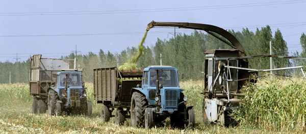 Уборка урожая - Sputnik Беларусь