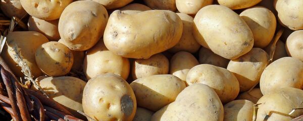 Картофель - Sputnik Беларусь