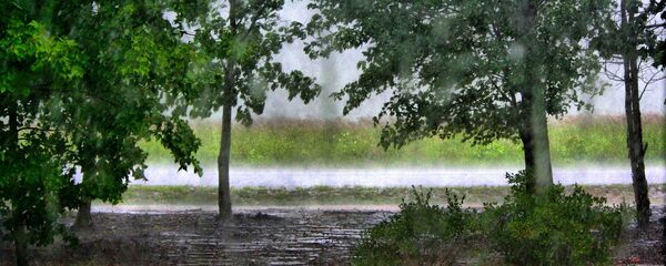 Летний дождь Летний дождь - Sputnik Беларусь