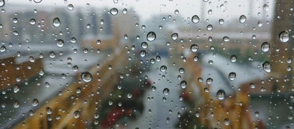 Дождж зимой Дождж зимой - Sputnik Беларусь