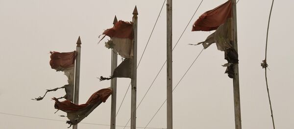 Порванные флаги Сирийской Арабской Республики во время пылевой бури в сирийском городе Дейр-эз-Зор - Sputnik Беларусь