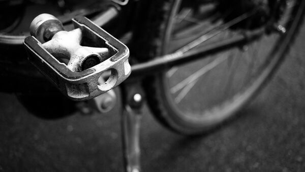 Педаль велосипеда, архивное фото - Sputnik Беларусь