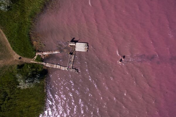 Особый цвет озеру придают микроорганизмы серрации салинарии, которые вырабатывают розоватый пигмент. - Sputnik Беларусь