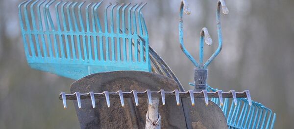 Сельскохозяйственные инструменты - Sputnik Беларусь