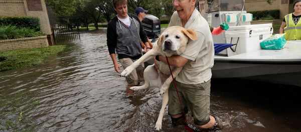 Наводнение в Техасе - Sputnik Беларусь