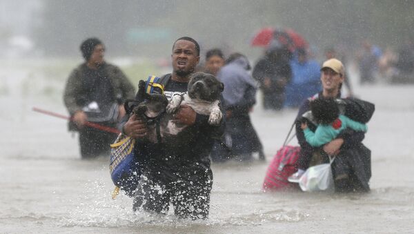 Жители Техаса спасаются от наводнения, вызванного ураганом Харви - Sputnik Беларусь