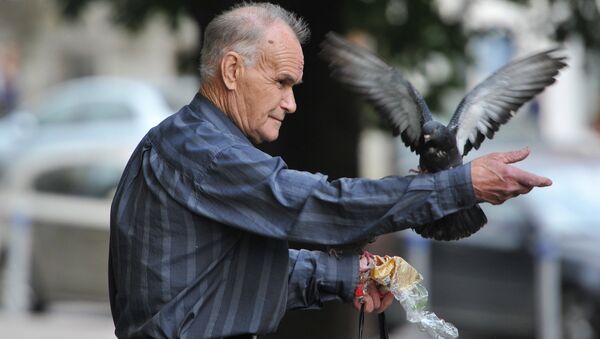Пенсионер кормит голубей в сквере, архивное фото - Sputnik Беларусь
