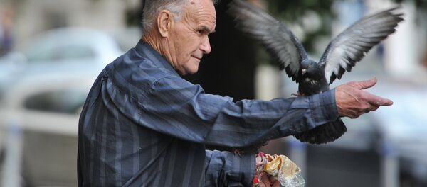 Пенсіянер корміць галубоў у скверы, архіўнае фота - Sputnik Беларусь