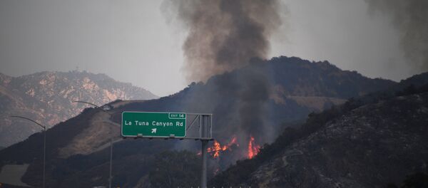 Лесные пожары возле Лос-Анджелеса - Sputnik Беларусь