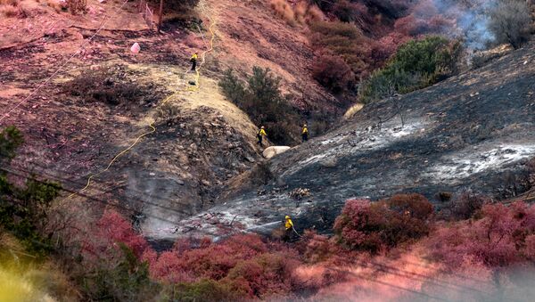Борьба с природными пожарами в Калифорнии - Sputnik Беларусь