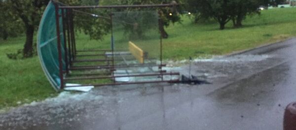 Поваленная остановка - Sputnik Беларусь