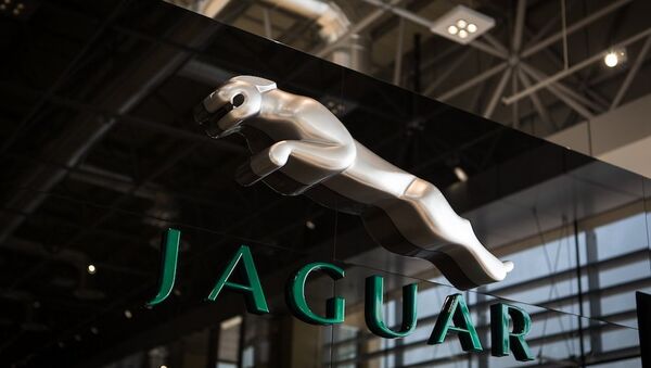 Логотип компании Jaguar - Sputnik Беларусь