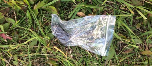 Изъятый гашиш - Sputnik Беларусь