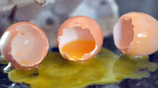 Разбитое куриное яйцо, архивное фото - Sputnik Беларусь