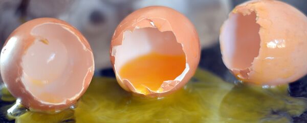 Разбитое куриное яйцо, архивное фото - Sputnik Беларусь