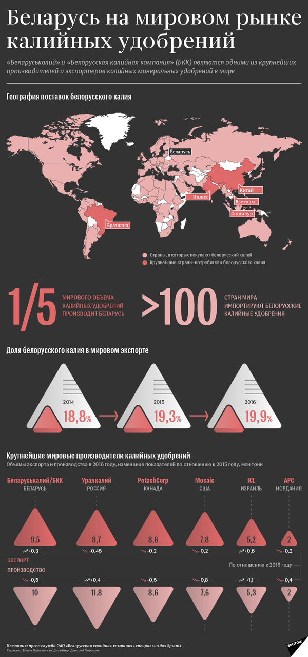 Беларусь на мировом рынке калийных удобрений - инфографика на sputnik.by - Sputnik Беларусь