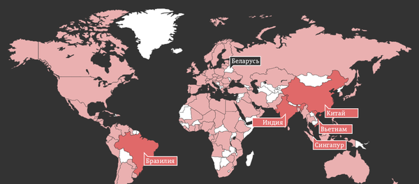 Беларусь на мировом рынке калийных удобрений - инфографика на sputnik.by - Sputnik Беларусь