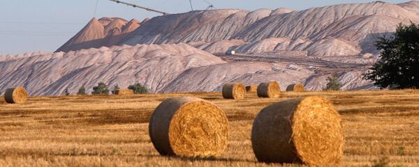 Беларуськалий - Sputnik Беларусь