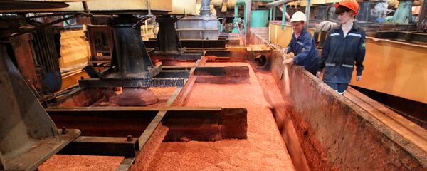 Сотрудницы наблюдают за работой флотационной машины на обогатительной фабрике предприятия Беларуськалий под Солигорском Сотрудницы наблюдают за работой флотационной машины на обогатительной фабрике предприятия Беларуськалий под Солигорском - Sputnik Беларусь