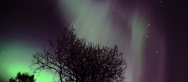 Палярнае ззянне Палярнае ззянне - Sputnik Беларусь