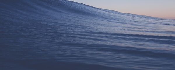 Волна - Sputnik Беларусь