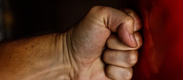 Кулак, архивное фото - Sputnik Беларусь