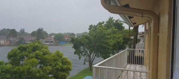 Ураган Ирма добрался до Флориды – первые кадры Ураган Ирма добрался до Флориды – первые кадры - Sputnik Беларусь