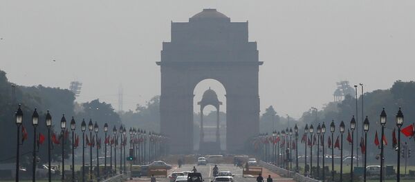 Ворота в Нью-Дели - Sputnik Беларусь