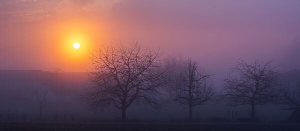 Туман в Беларуси - Sputnik Беларусь