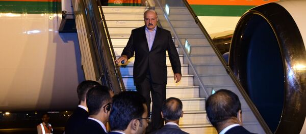 Александр Лукашенко в Индии Александр Лукашенко в Индии - Sputnik Беларусь