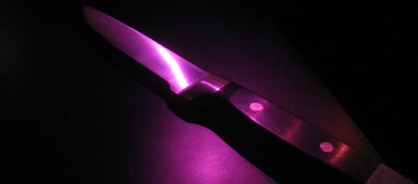 Нож - Sputnik Беларусь