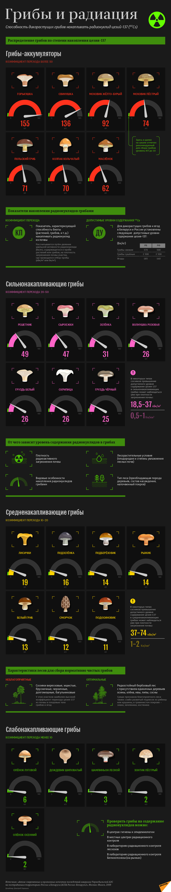 Грибы и радиация - инфографика на sputnik.by - Sputnik Беларусь